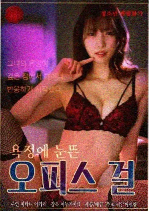 年代成长剧向北的列车